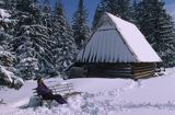 Na Rusinowej Polanie, opalająca się turystka, Tatry, Polska