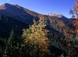 Tatry, na Hali Tomanowej