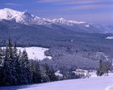 Tatry, panorama z Polany Zgorzelisko