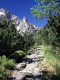 Tatry widok na Mnicha ze szlaku na Szpiglasową