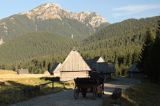 Tatry Polana Chochołowska szałasy pasterskie