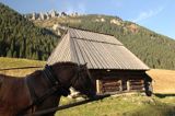 Tatry Polana Chochołowska szałasy pasterskie