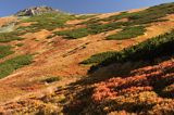 Tatry jesień Ornak borówczyska