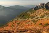 Tatry borówczyska na stoku Ornaku