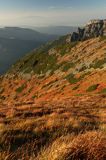 Tatry borówczyska na stoku Ornaku