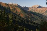 Tatry widok z Hali Tomanowej