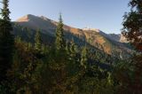 Tatry widok z Hali Tomanowej