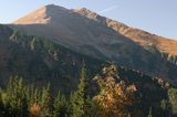 Tatry widok z Hali Tomanowej