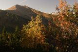 Tatry widok z Hali Tomanowej