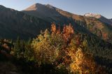 Tatry widok z Hali Tomanowej