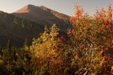 Tatry widok z Hali Tomanowej