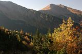 Tatry widok z Hali Tomanowej