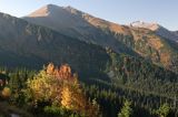 Tatry widok z Hali Tomanowej