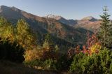 Tatry widok z Hali Tomanowej