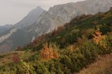 Tatry na Hali Upłaz i Giewont