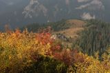 Tatry jesień na Hali Upłaz