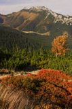 Tatry jesień widok z Myślenickich Turni na Giewont