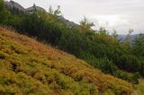 Tatry na Hali Kondratowej