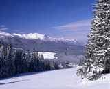 Tatry widok z Polany Zgorzelisko