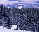 Tatry panorama widok z Głodówki