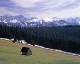 Tatry panorama widok z Głodówki, Kołowy Szczyt,Durny, Baranie Rogi, Lodowy Szczyt, Jaworowy, Mały Jaworowy, Szeroka Jaworzyńska, Gerlach, Kaczy, Kończysta, Ganek