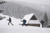 przy szałasie na Rusinowej Polanie, Tatry