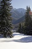 zima, szałasy pasterskie na Polanie Chochołowskiej, Tatrzański Park Narodowy Murań, widok z Murzasichla