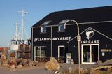 Jyllandsakvariet, Muzeum Akwarium w Thyboron, Limfjord, Jutlandia, Dania