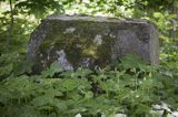 cmentarz Mennonitów we wsi Tropy Elbląskie, żuławy