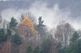 poranne mgły na Tworylnem pod Otrytem, Park Krajobrazowy Doliny Sanu, Bieszczady