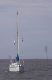 na ´brzózkowym´ szlaku na Waddenzee koło wyspy Norderney, Wyspy Wschodnio-Fryzyjskie, Waddenzee, Niemcy, Morze Wattowe