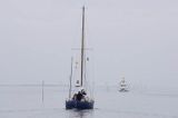 na ´brzózkowym´ szlaku na Waddenzee koło wyspy Norderney, Wyspy Wschodnio-Fryzyjskie, Wattenmeer, Niemcy, Morze Wattowe