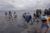 mud walking, wycieczki piesze po osuchach na morzu, Warffumerlaag koło Noordpolderzijl, Fryzja, Waddenzee, Holandia, Morze Wattowe