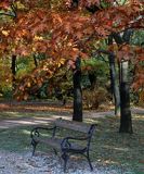 ławka w parku w Łazienkach Warszawskich