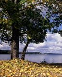 jezioro Wdzydze Wdzydzki Park Krajobrazowy