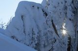 Na stoku Wetlińskiej, Bieszczady