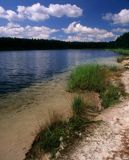 jezioro lobeliowe Wielkie Gacno, Park Narodowy Bory Tucholskie