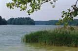 Wielkopolski Park Narodowy jezioro Góreckie