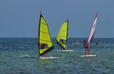 windsurfing na Zatoce Puckiej w Jastarni