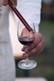 nalewanie wina, degustacja, Winnica Cantina, Mozów, Lubuski Szlak Wina i Miodu, Zielonogórscy winiarze