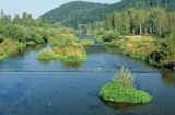 rzeka Wisła w Wiśle, Beskid Śląski