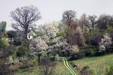 wiosna we wsi Witryłów, Pogórze Dynowskie