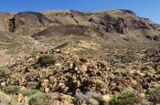 Wyspy Kanaryjskie, Las Canadas, Park Narodowy Del Teide