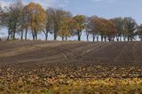 Park Krajobrazowy Wzgórz Dylewskich, Mazury