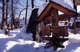 Zakopane Stary Cmentarz Na Pęksowym Brzysku