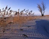 plaża nad Zalewem Wiślanym