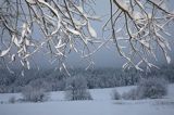 Zaśnieżony krajobraz, Bieszczady