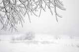 Zaśnieżony krajobraz, Bieszczady