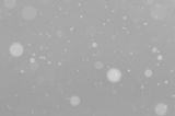 Padający śnieg, śnieżyca, Bieszczady
