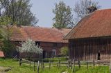 żywkowo, bociania wieś, bocian biały/ciconia ciconia/, Warmia